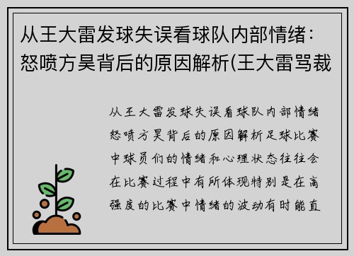 从王大雷发球失误看球队内部情绪：怒喷方昊背后的原因解析(王大雷骂裁判)