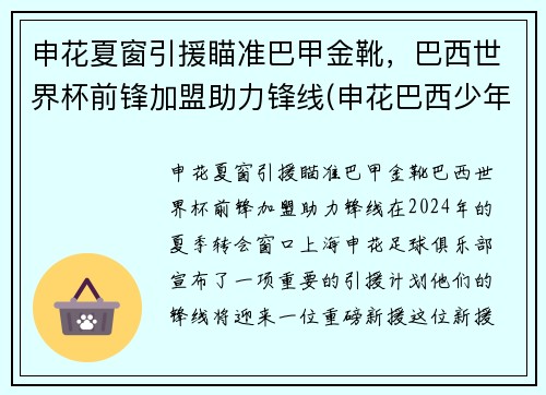申花夏窗引援瞄准巴甲金靴，巴西世界杯前锋加盟助力锋线(申花巴西少年队)