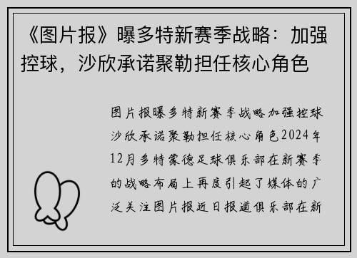 《图片报》曝多特新赛季战略：加强控球，沙欣承诺聚勒担任核心角色