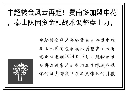 中超转会风云再起！费南多加盟申花，泰山队因资金和战术调整卖主力，海港面临重创