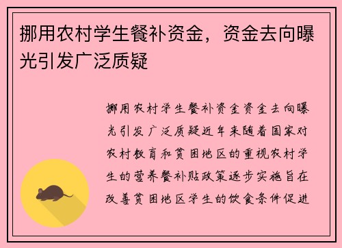 挪用农村学生餐补资金，资金去向曝光引发广泛质疑
