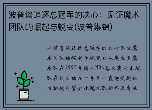 波普谈追逐总冠军的决心：见证魔术团队的崛起与蜕变(波普集锦)